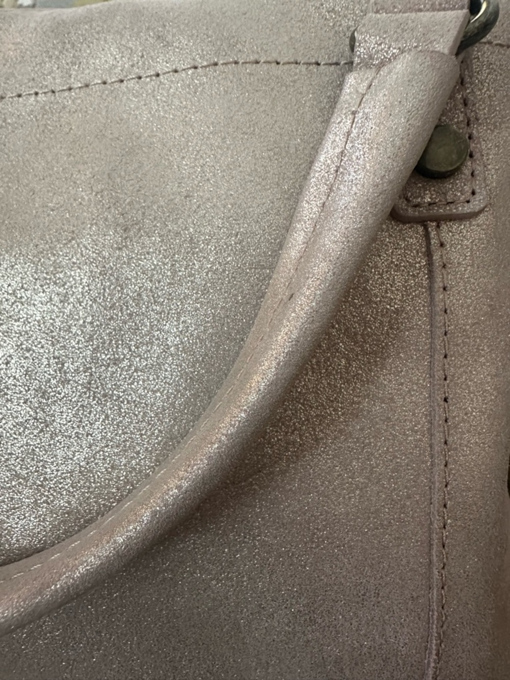 American Leather CO. Bermuda Metallic Wilton Feed Crossbody NWT $165 MSRP - Picture 11 of 16